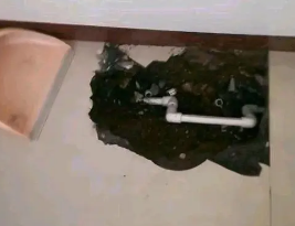 宜宾卫生间测漏水多少钱